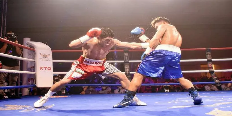 Giới thiệu hình thức cá cược Boxing Thabet